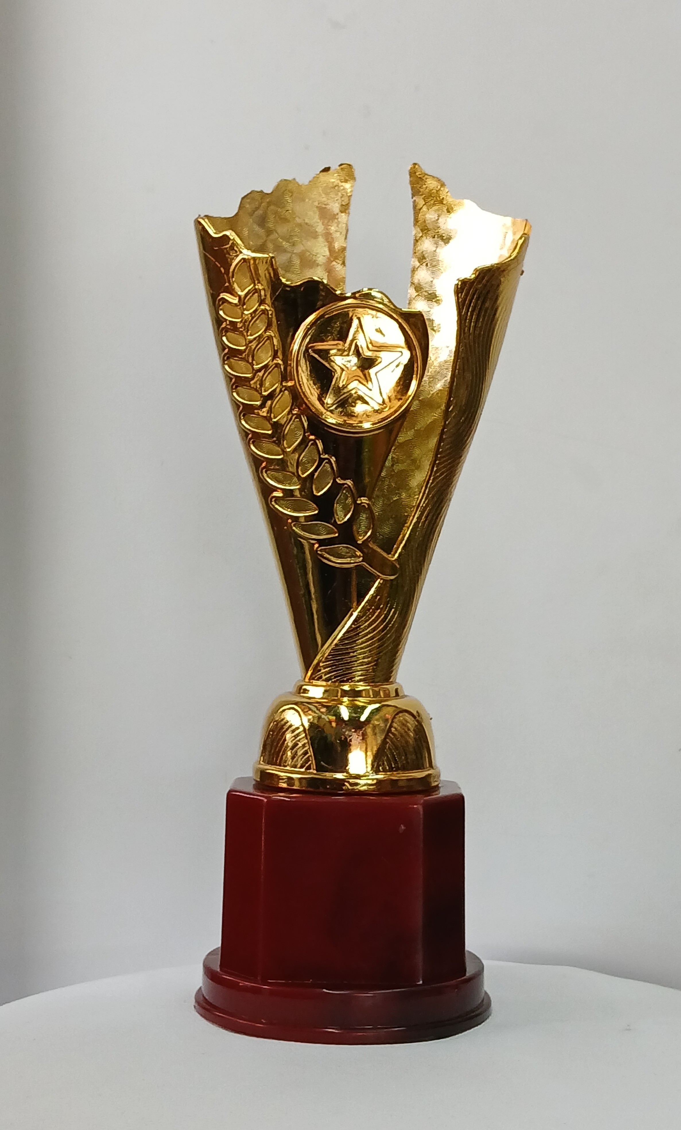 cup star type trophy big