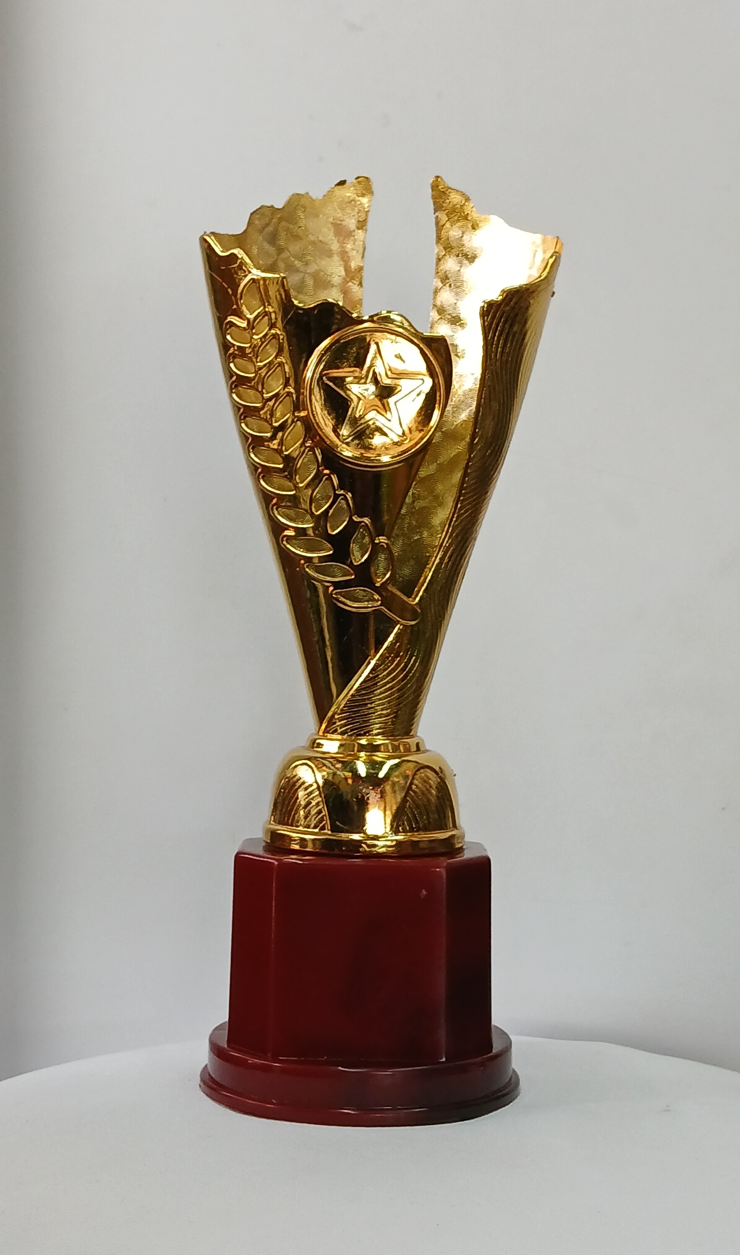 cup star type trophy big