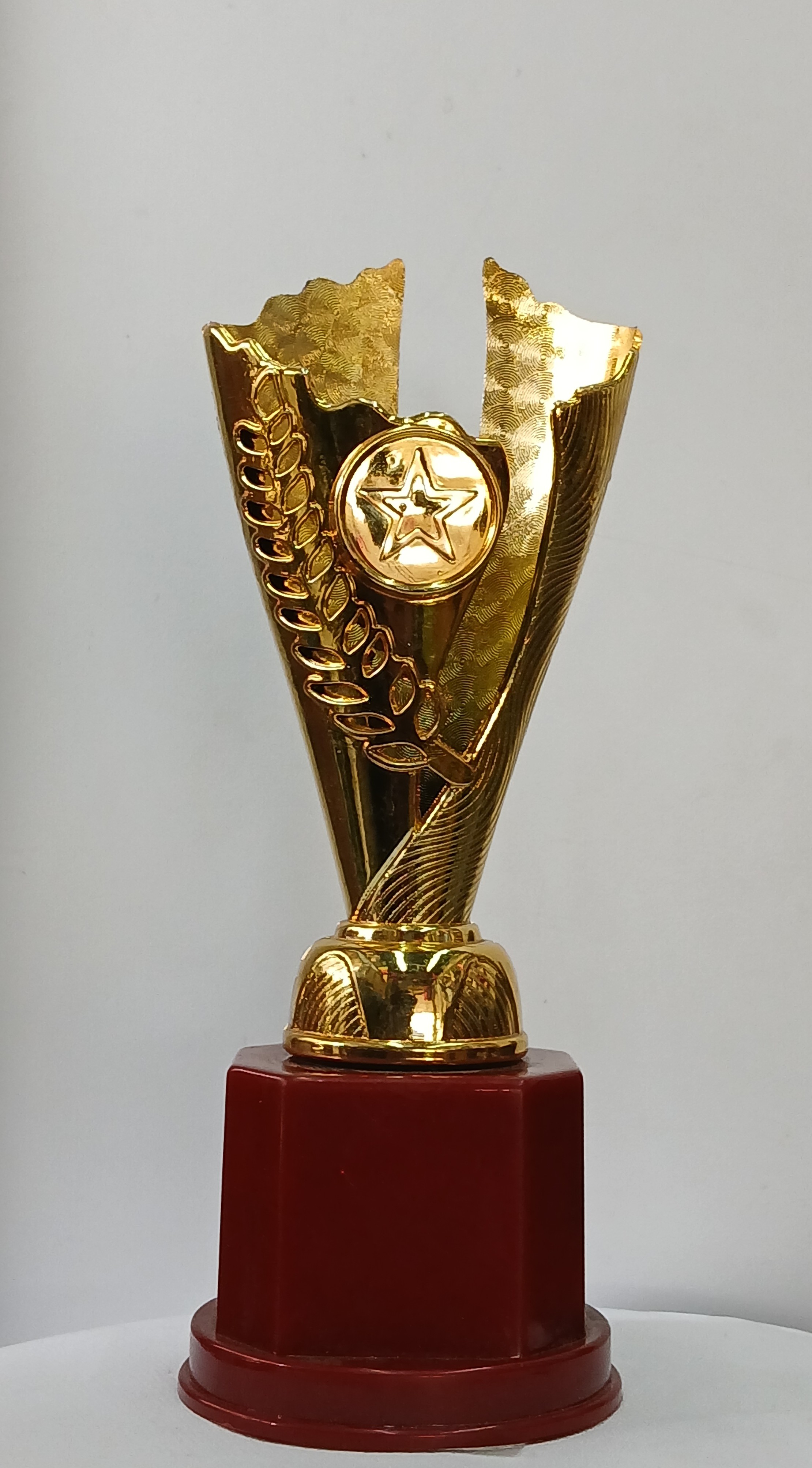 cup star type trophy small