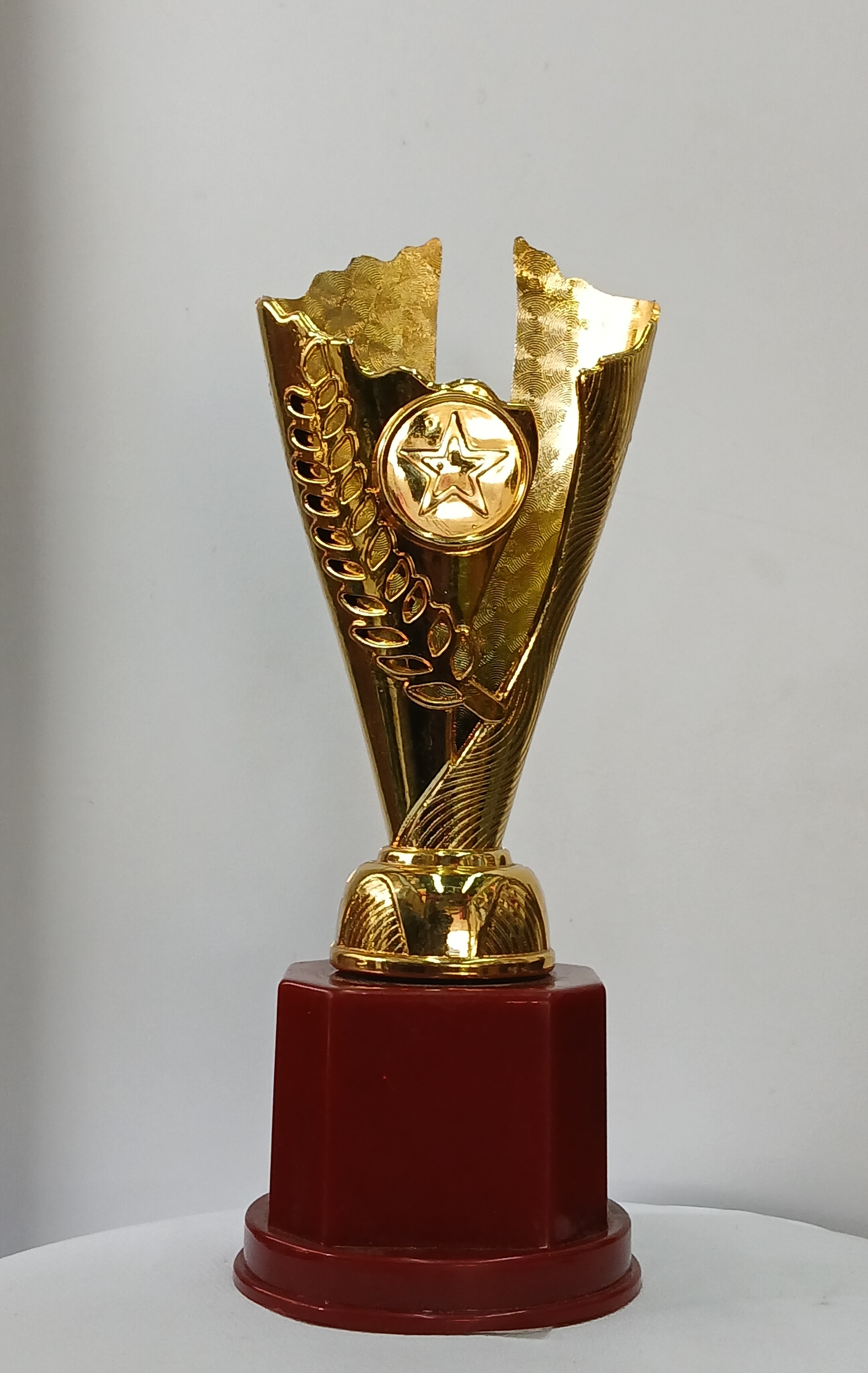 cup star type trophy small